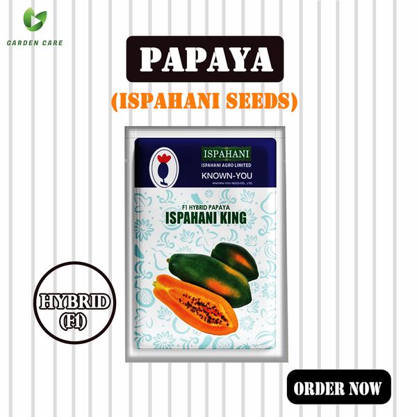 Hybrid (F1) Papaya (ইস্পাহানি কিং) Seeds (Ispahani Seeds)