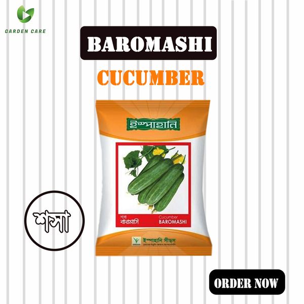 Cucumber Baromashi ( শসা বারমাসি ) -১০ গ্রাম