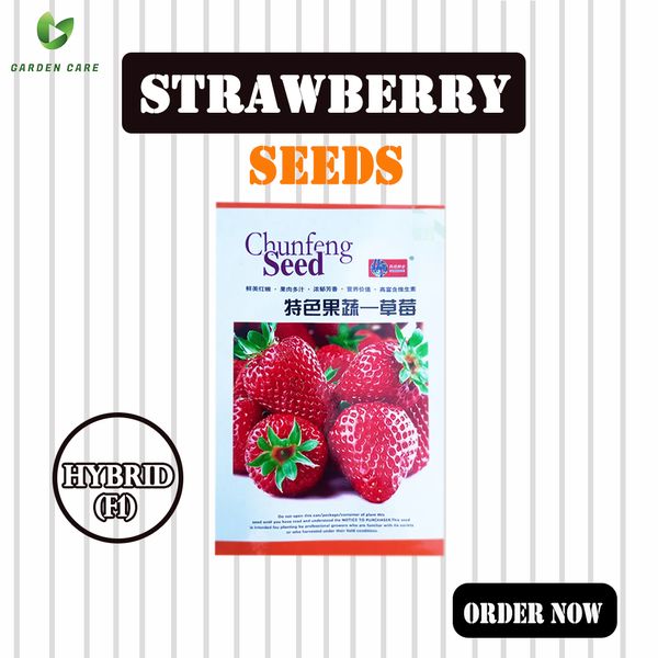 Hybrid (F1) Strawberry (স্ট্রবেরি) Seeds