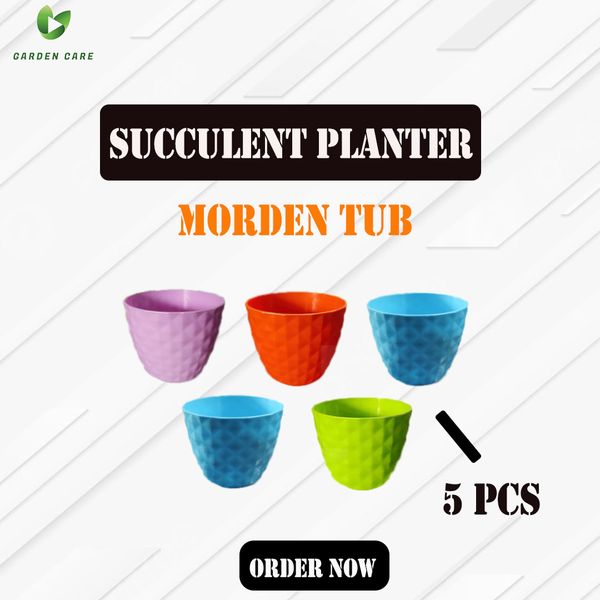 10 cm Succulent Planter - 5Pcs