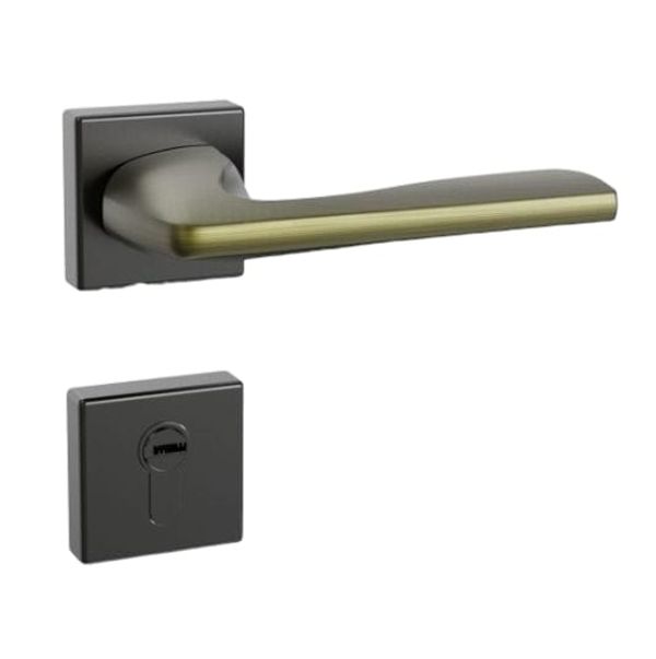 2 in 1 Handle Lock