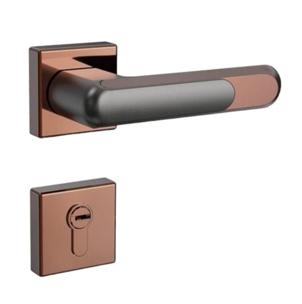 2 in 1 Handle Lock