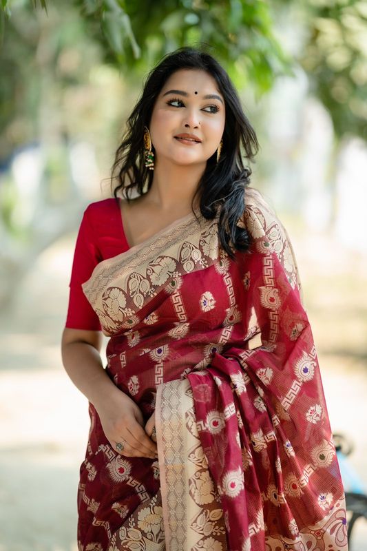 Handloom maroon colour full body work saree