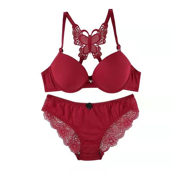 Butterfly printeted undergarment set