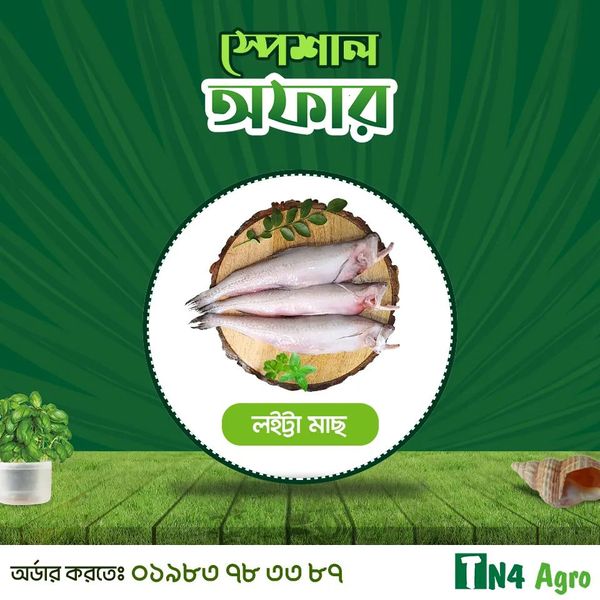 Loitta (লইট্টা)