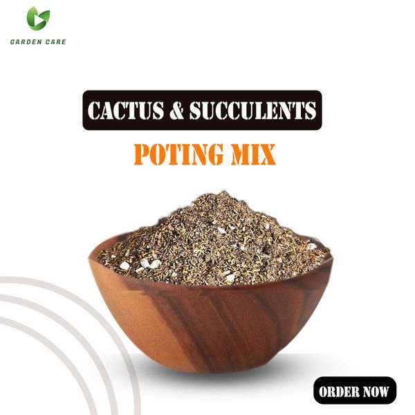 Poting mix for Cactus & Succulents - 1 kg