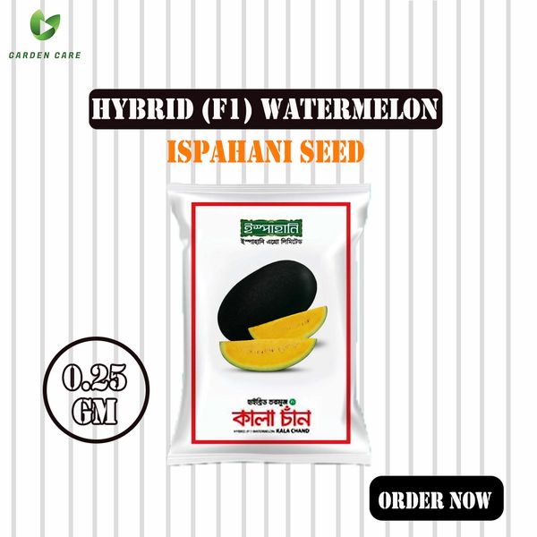 Hybrid (F1) Watermelon (তরমুজ) Seeds - 0.25gm (Ispahani Seed)