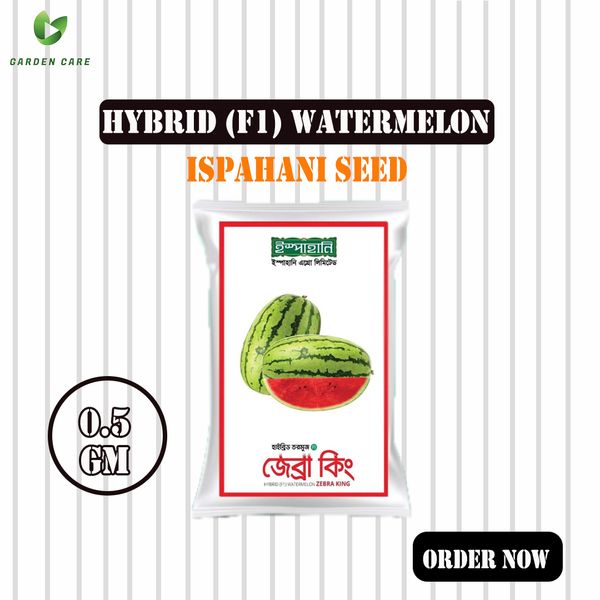 Hybrid (F1) Watermelon (তরমুজ) Seeds - 0.5gm (Ispahani Seed)