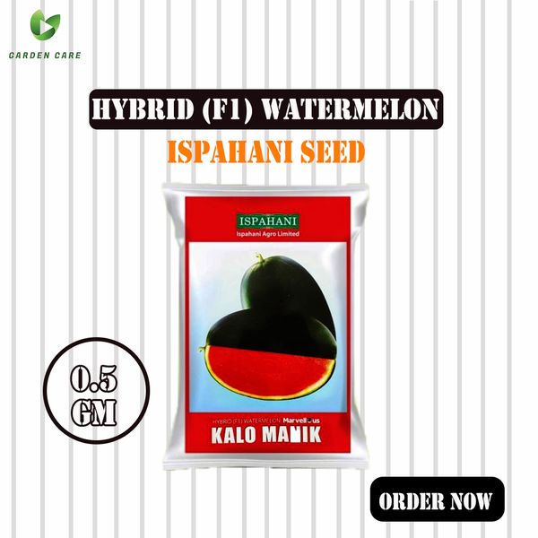 Hybrid (F1) Watermelon (তরমুজ) Seeds - 0.5gm (Ispahani Seed)