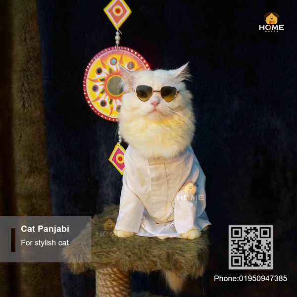 Cat panjabi (6,5,4,3.5,3 kg)