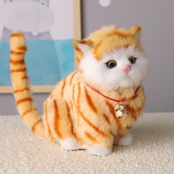 Simulation  cat toy