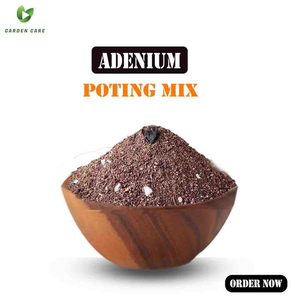 Adenium Potting Mix - 1kg
