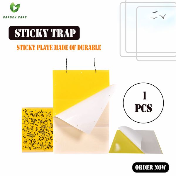 Sticky Trap - 1Pcs