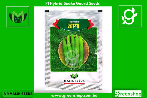 হাইব্রিড চিচিঙ্গা বীজ আশা। F1 Hybrid Snake Gourd Seeds Asha