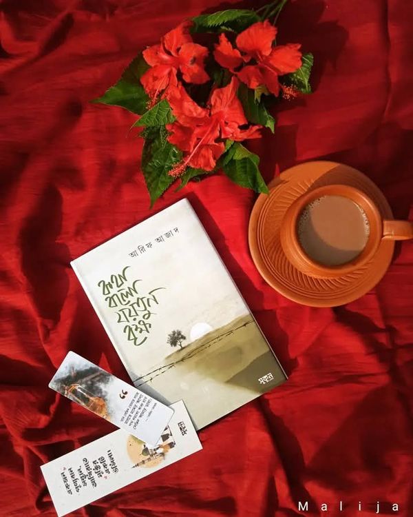 কথা বলো যয়তুন বৃক্ষ