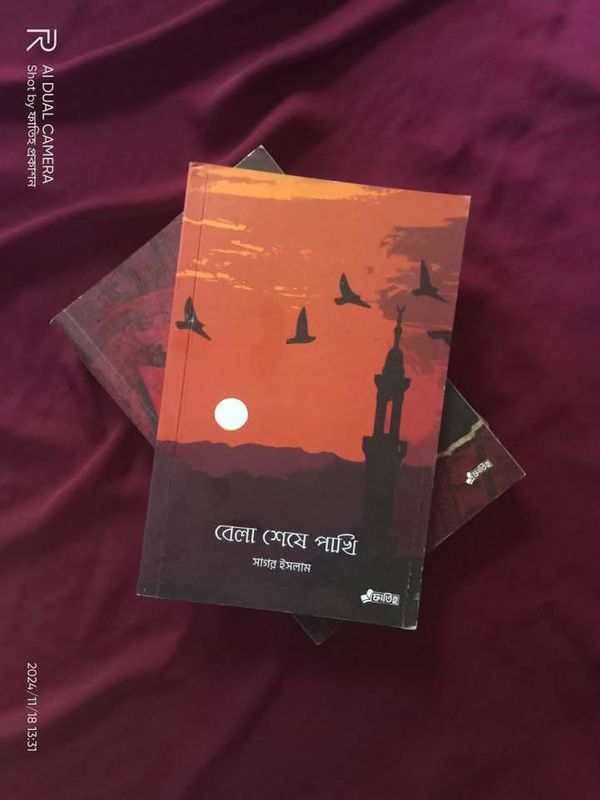 বেলা শেষে পাখি