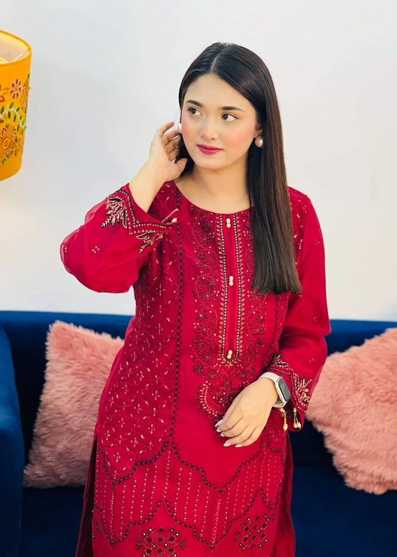 Organza Kurti