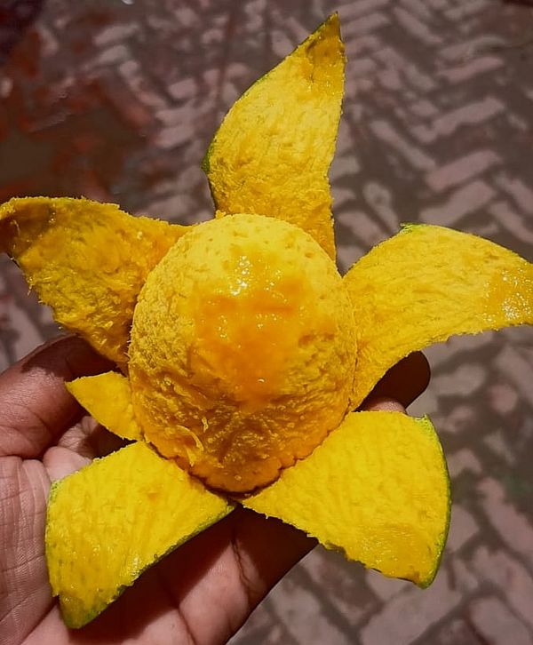 হিমসাগর আম ১২ কেজি পয়েন্ট ডেলিভারি - Image 1