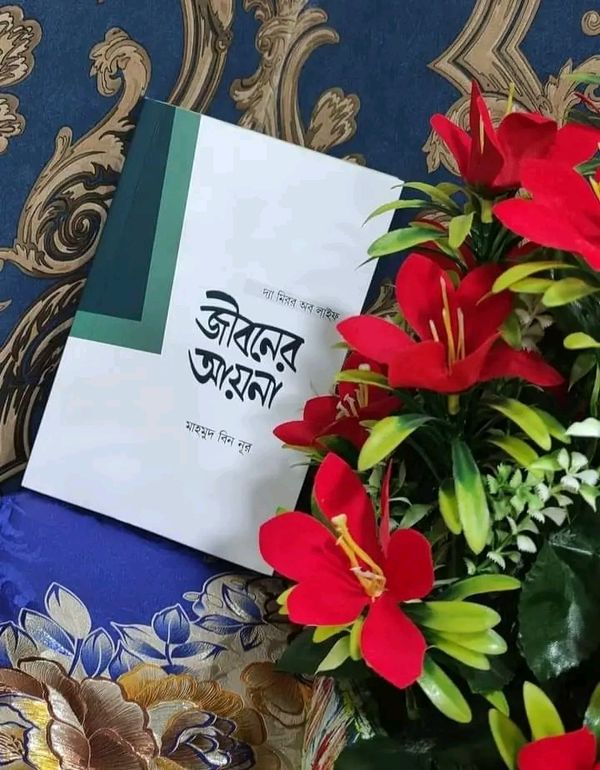 জীবনের আয়না