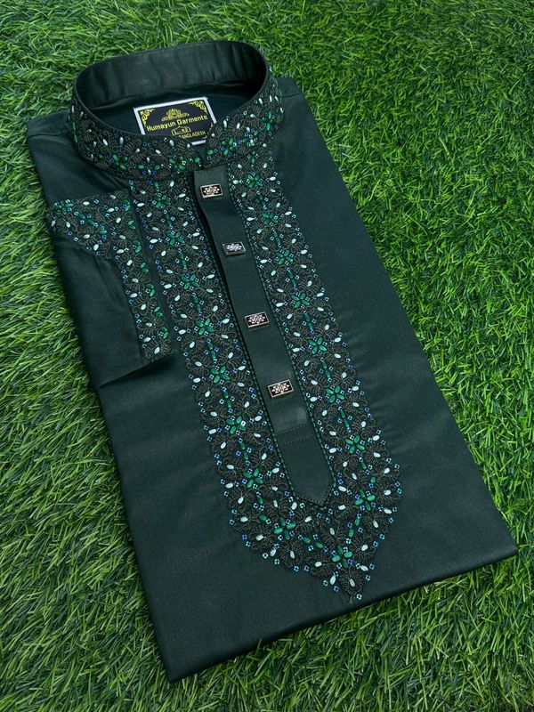 Embroidery Panjabi