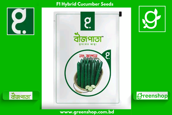 এরোবিয়া লং জাপান শসা বীজ Long Japan Cucumber Seed