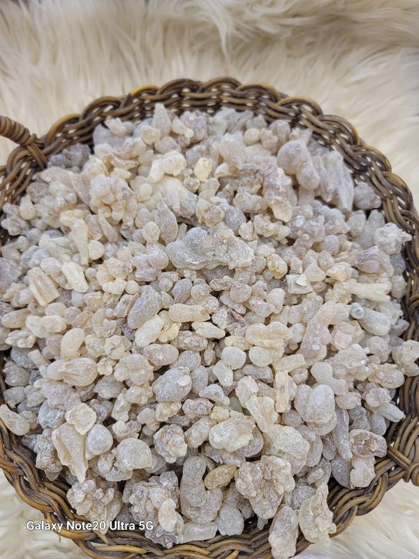 لبان ذكر هجري// male frankincense Omani