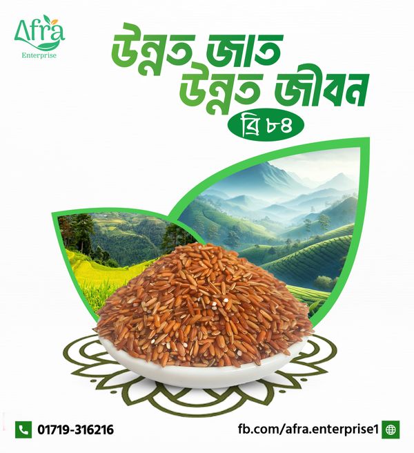 ব্রি-৮৪ ফুল ফাইবার চিকন চাল ২৫ কেজি