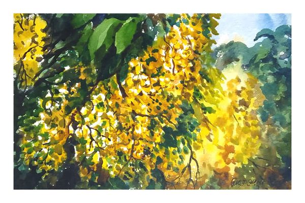 Golden Cascade