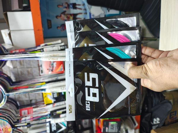 VSE BG65 Badminton String