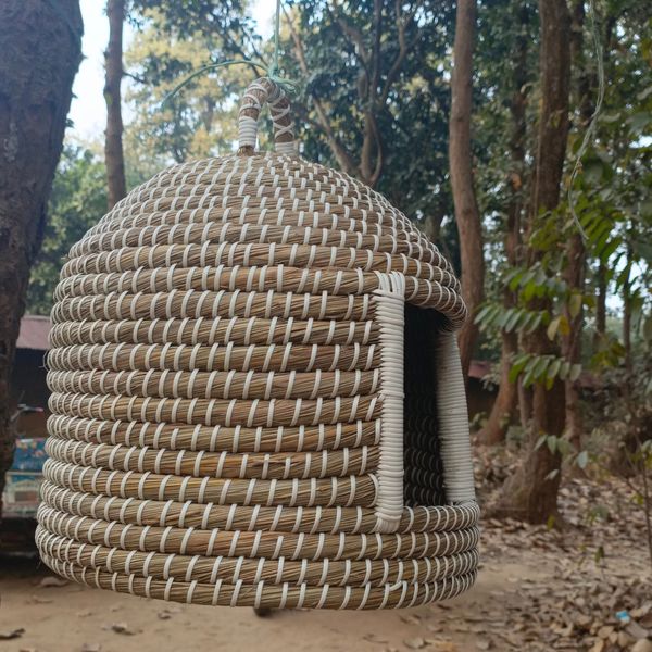 Cat House - বিড়ালের ঘর