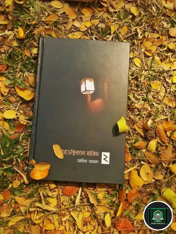 প্যারাডক্সিক্যাল সাজিদ ২