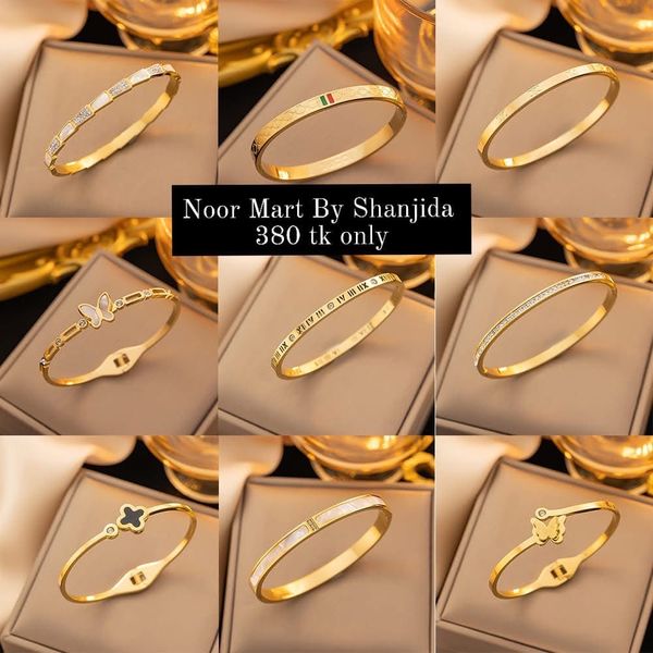 Titanium Bracelet NS3734