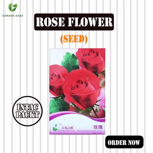 Rose Flower Seeds (লাল গোলাপ)