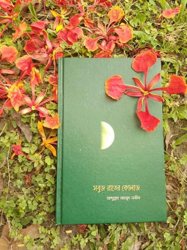 সবুজ রাতের কোলাজ