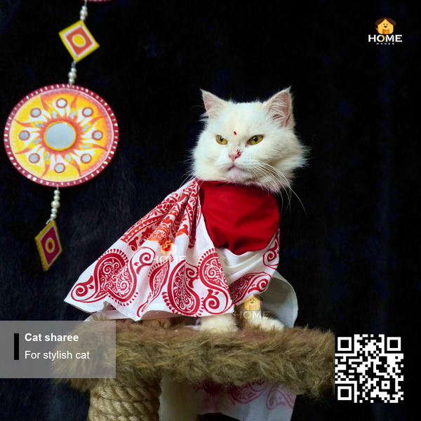 cat sharee - Image 1