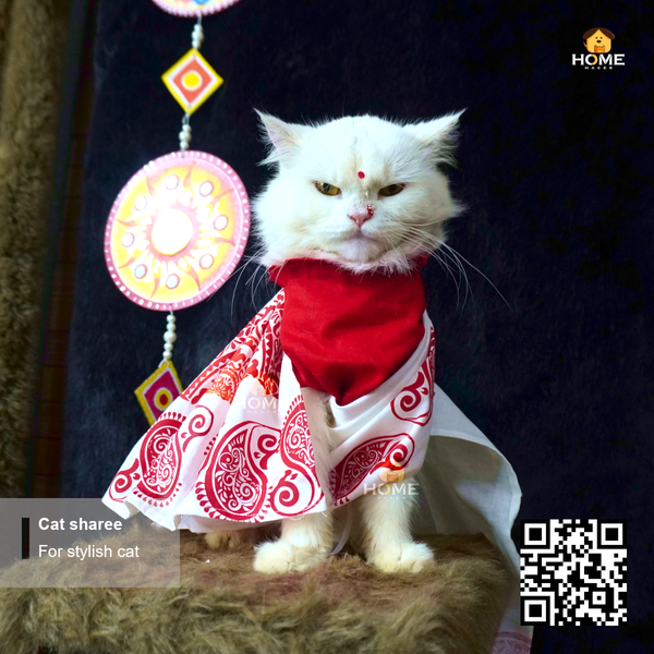 cat sharee - Image 4