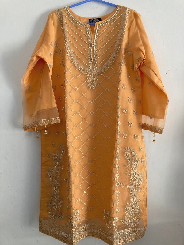 Embroidered Women's One-Piece - Soft Peach - Organza