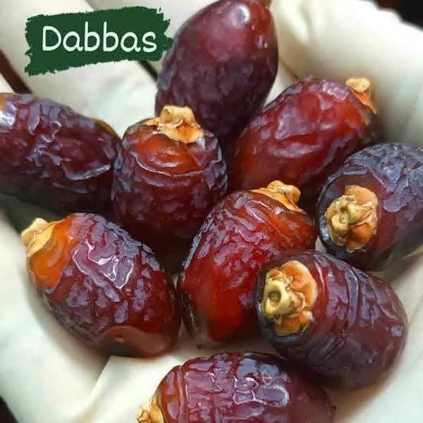 Dabbas - দাব্বাস Khejur ১কেজি Box, Good Quality