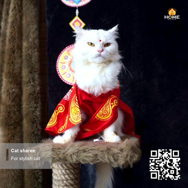 Cat sharee - Image 5