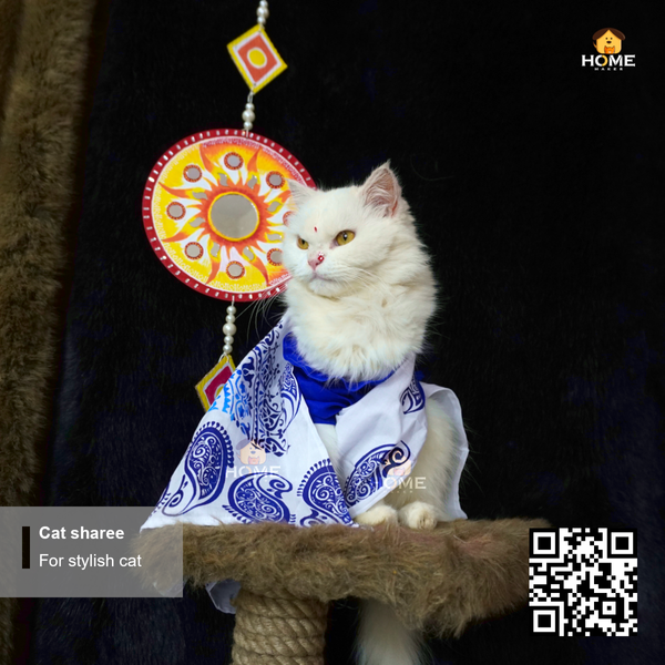 Cat sharee