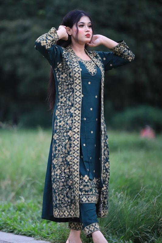 Soft Georgett Embroidery work party dress