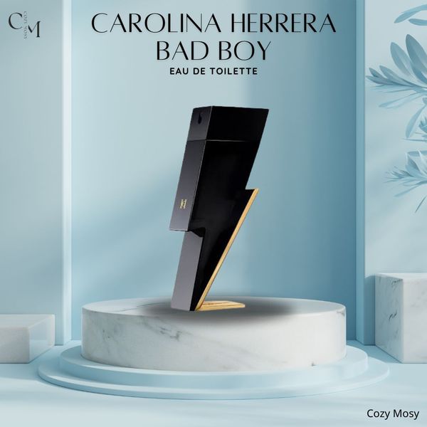 Carolina Herrera Bad Boy edt 100ml for men