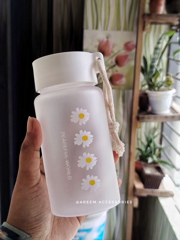 Daisy Water Pot (Frosted- Four Flowers)