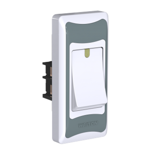 PASINO SWITCH WALTON