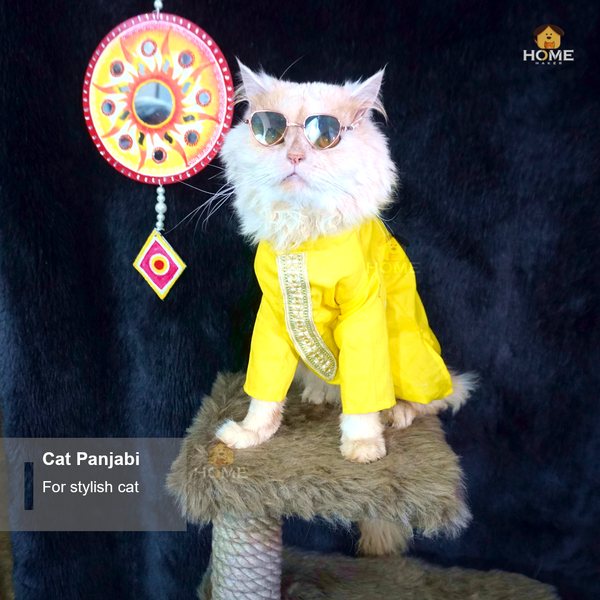 cat panjabi (custome)