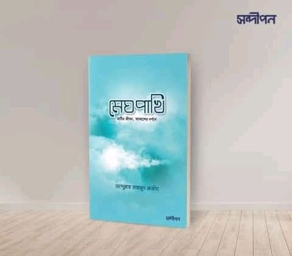 মেঘ পাখি