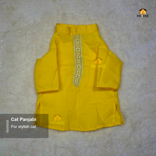 cat panjabi(3,3.5,4 kg) - Image 2