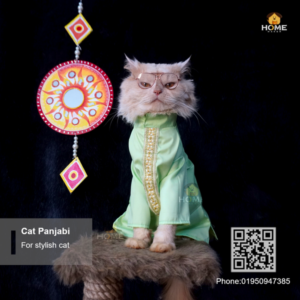 cat panjabi