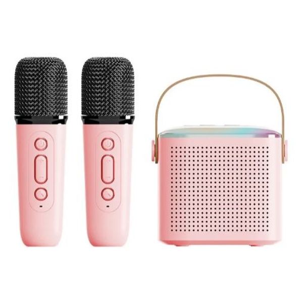 Y1 Wireless Dual Microphones Karaoke Machine KTV DSP System Bluetooth 5.3 PA Speaker HIFI Stereo Surround RGB Colorful LED Light
