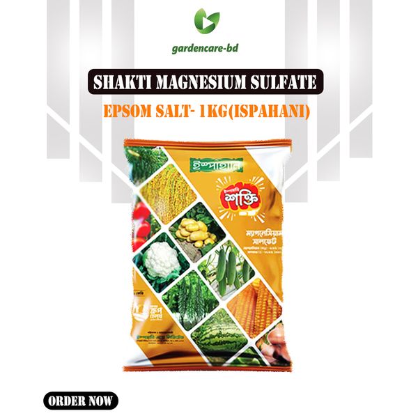 Shakti/Magnesium Sulfate (Epsom Salt) - 1 Kg (Ispahani)